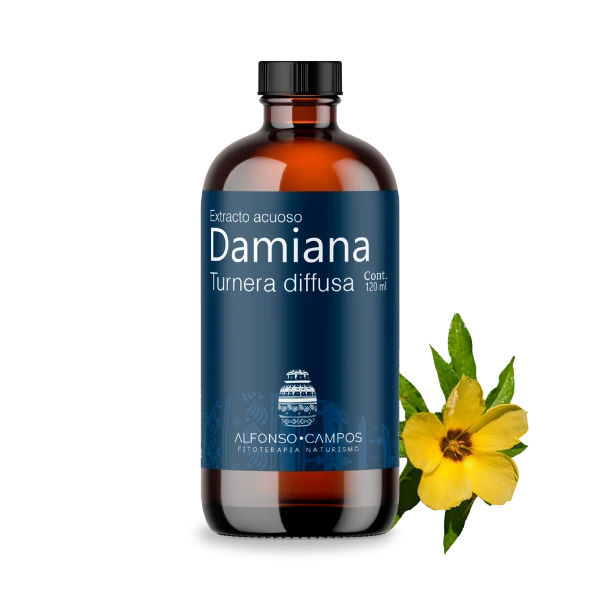 thumbnail image 2 of Pure Health Botanicals Damiana Tincture - Turnera Diffusa Extract, Natural Liquid Supplement 2 of 4