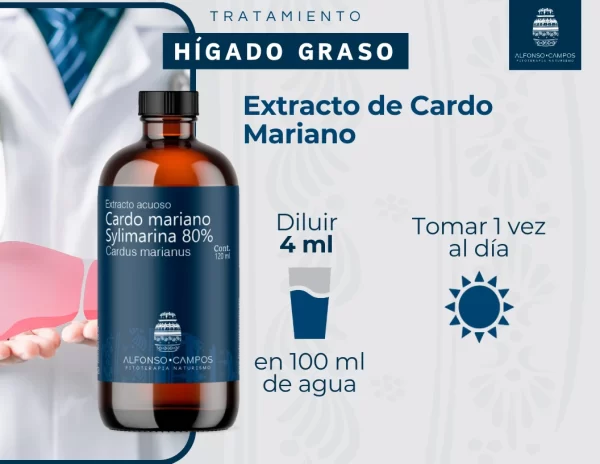 Tratamiento de Hígado Graso - Imagen 5