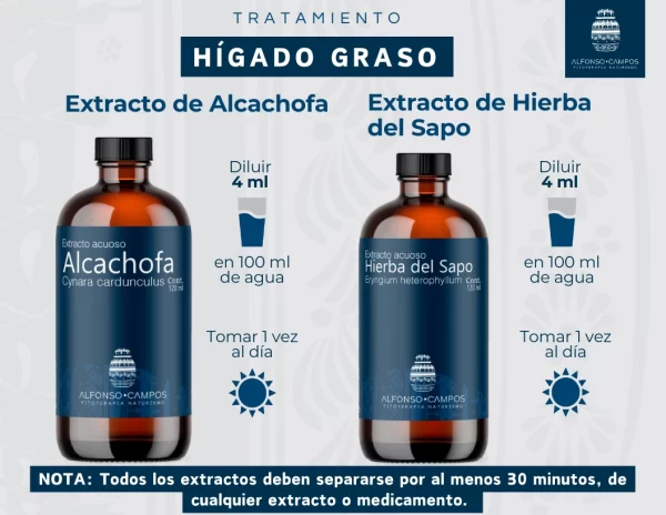 Tratamiento de Hígado Graso - Imagen 6