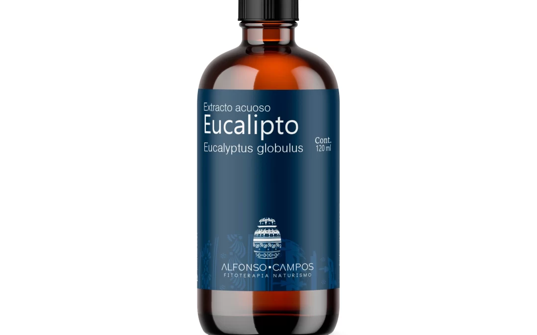 Extracto líquido de Eucalipto / Eucaliptus globulus