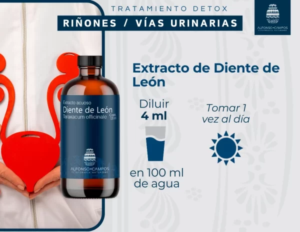 Tratamiento Detox Riñones/Vías Urinarias - Imagen 5