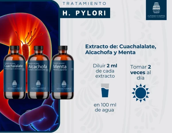Tratamiento de Helicobacter pylori - Imagen 6