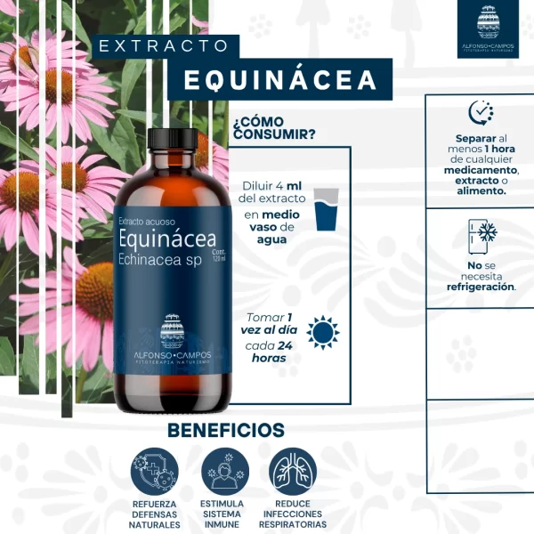 Combo Defensas Fuertes - Imagen 4