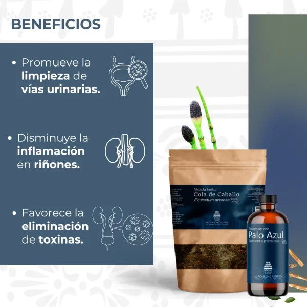 Combo Limpia Vías Urinarias - Imagen 3