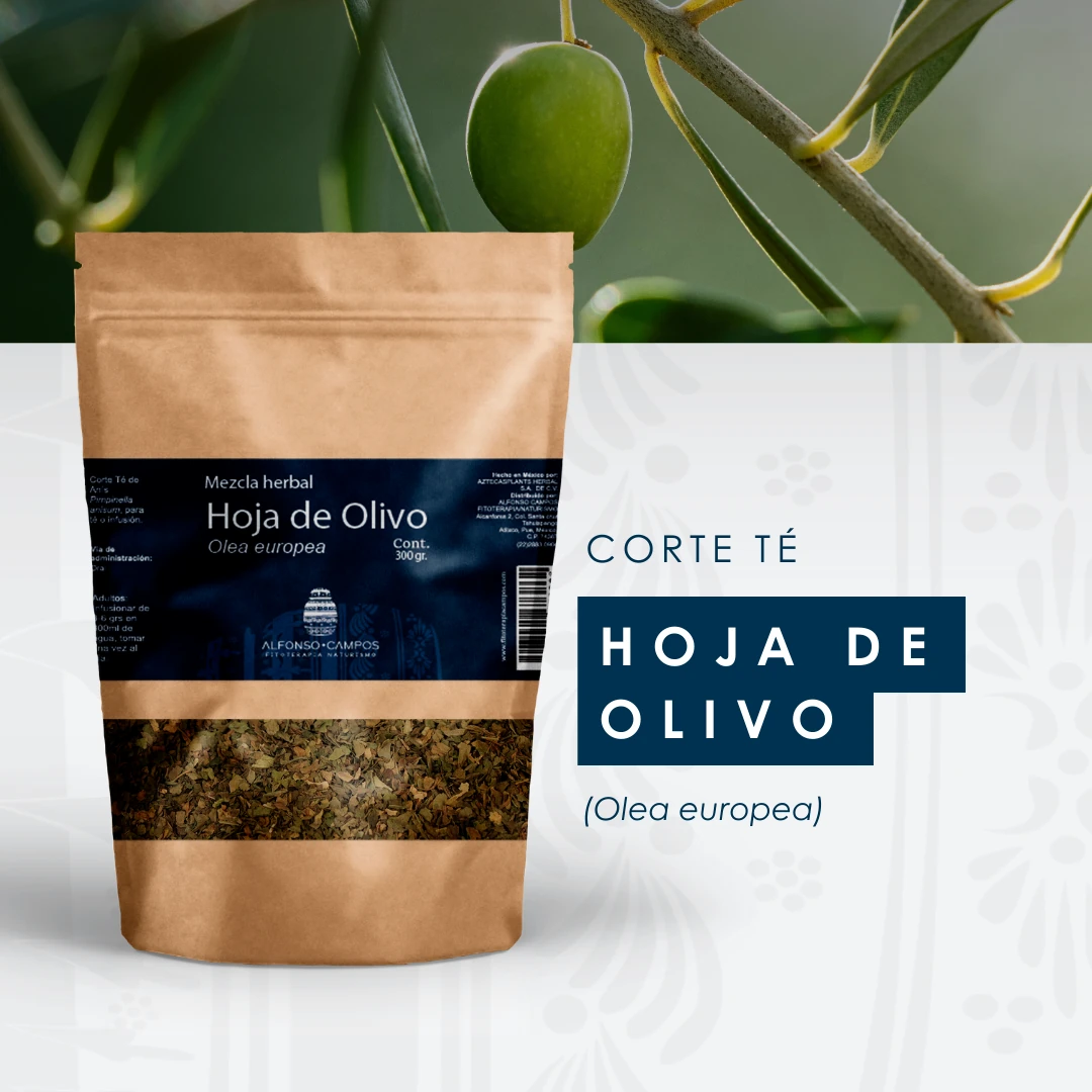 HOJA DE OLIVO CORTE TÉ - Imagen 2