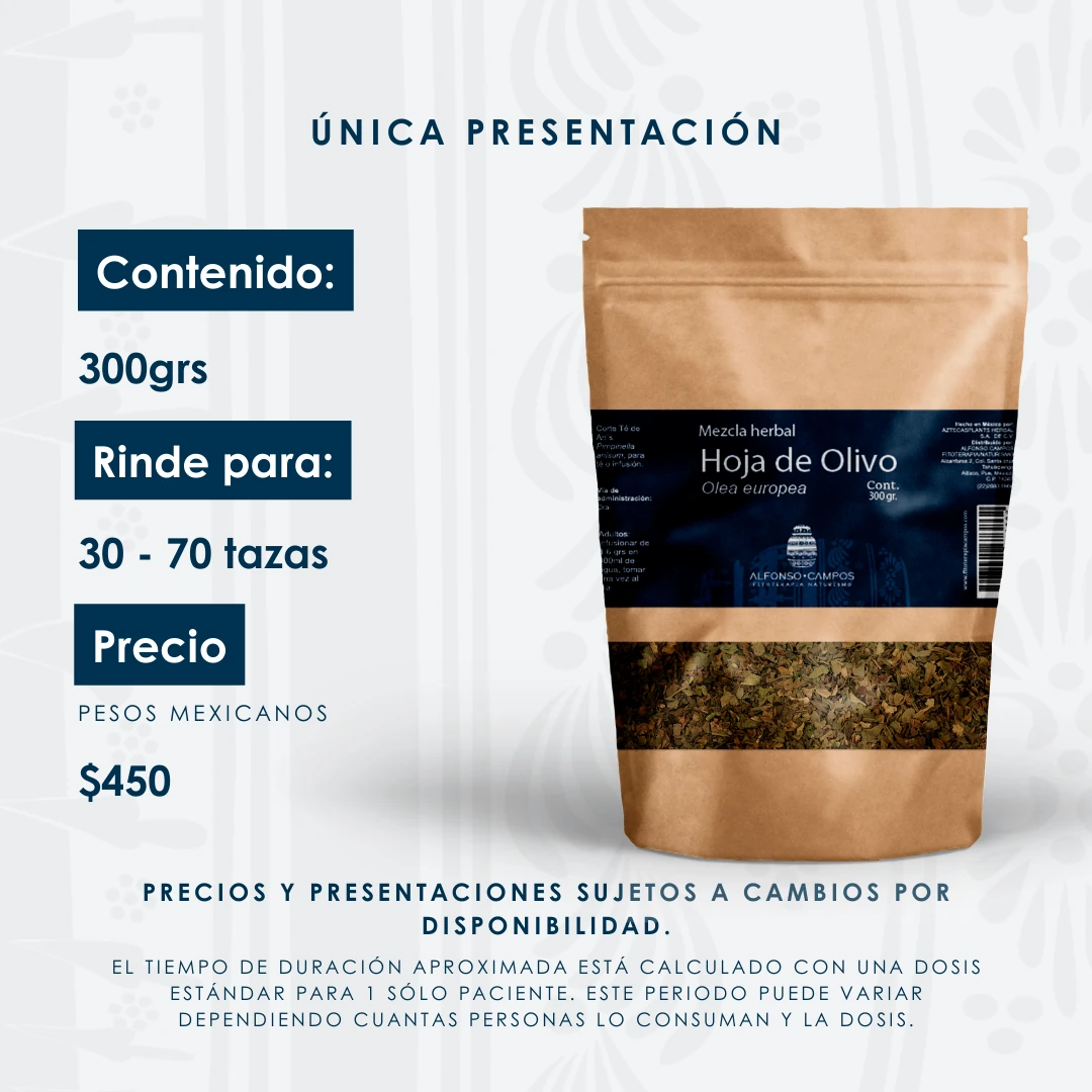 HOJA DE OLIVO CORTE TÉ - Imagen 4